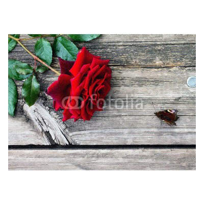 WEBLUX 90974590 Fototapeta plátno Red rose and butterfly on an old wooden table Červená růže a motýl na starém dřevěném stole rozměry 160 x 116 cm – Zbozi.Blesk.cz