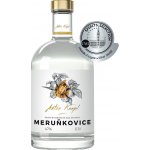 Anton Kaapl Meruňkovice 47% 0,5 l (holá láhev) – Zboží Dáma