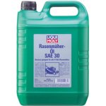 Liqui Moly 4T SAE 30W 5 l 1266 | Zboží Auto