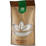 Topnatur Xylitol 500 g – Sleviste.cz