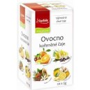 Apotheke Ovocné kořeněné čaje 4v1 20 x 2 g