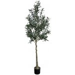 Dekorace umělý stromek olivovník s olivami Olea Tree 15*170 cm Chic Antique – Zbozi.Blesk.cz