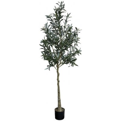 Dekorace umělý stromek olivovník s olivami Olea Tree 15*170 cm Chic Antique – Zbozi.Blesk.cz