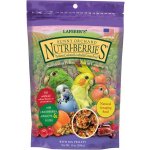 Lafeber´s Sunny Orchard Nutri-Berries Parrots 284 g – Zboží Mobilmania