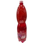 Magnesia Red Brusinka jemně perlivá 1,5 l – Hledejceny.cz