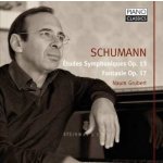 Schumann - Symphonic Studies Op. 13; Fantasy Op. 17 CD – Hledejceny.cz