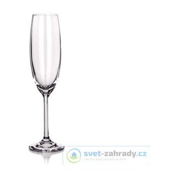 Crystal Banquet šampaň. flétna OK 220ml 6ks