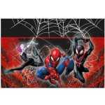 Procos Plastový ubrus Spiderman 120x180 cm – Sleviste.cz