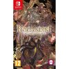 Hra na Nintendo Switch Brigandine: The Legend of Runersia