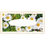 Chráněná dílna Dřevěný svět Víko na kapesníky obdélník 24 x 12 cm Sedmikrásky 2 – Zboží Dáma