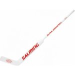 SALMING GM13 LIV Goalie – Hledejceny.cz