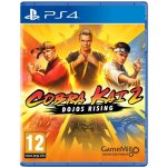 Cobra Kai 2: Dojos Rising – Zboží Dáma