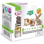 LoloPets minerální kámen pro hlodavce pomeranč 40 g – Zboží Dáma