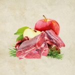 Sam's Field Adult True Lamb & Apple 6 x 400 g – Sleviste.cz