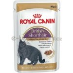 Royal Canin British Shorhair 85 g – Sleviste.cz