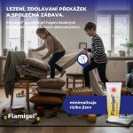 Flamigel Flamigel gel urychlující hojení 50 g – Hledejceny.cz