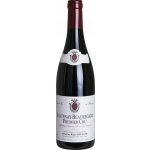 Domaine Roger Belland Santenay Beauregard Premier Cru 2022 Červené 13% 0,75 l (holá láhev) – Hledejceny.cz