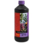 Atami B´cuzz Coco Bloom Stimulator 500 ml – Hledejceny.cz