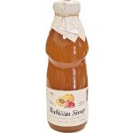 Nature Notea Babiččin sirup Meruňka & Grep 0,5 l – Zbozi.Blesk.cz