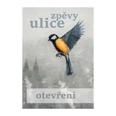 Zpěvy ulice - kolektiv autorů