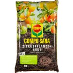 Compo Sana Substrát pro citrusy 10 l – Zboží Dáma