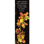 A012 - Záložka do knihy - láska znamená – Hledejceny.cz