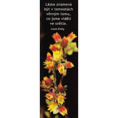 A012 - Záložka do knihy - láska znamená – Hledejceny.cz