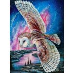 Norimpex Diamantové malování Soví let 30 x 40 cm – Hledejceny.cz