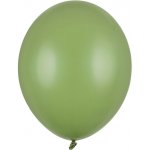 PartyDeco Balonek latex zelený rozmarýnový pastelový 30 cm – Hledejceny.cz