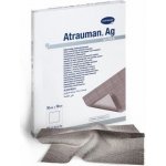 Atrauman AG 10 x 20 cm 10 ks – Zboží Dáma