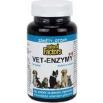 Natural Factors Vet Enzymy podpora hojení, záněty, otoky 90 tbl – Zboží Dáma