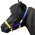 HKM ohlávka duhová – Hledejceny.cz