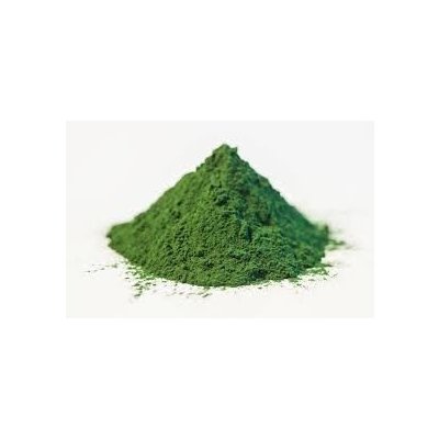 Sedmikráska bylinný extrakt Chlorella 250 ml – Hledejceny.cz