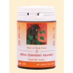 TCM Herbs Hříva černého vraníka 100 tablet – Hledejceny.cz