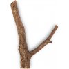 DMR Korková dubová větev 30 cm