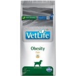 Vet Life Dog Obesity 12 kg – Hledejceny.cz