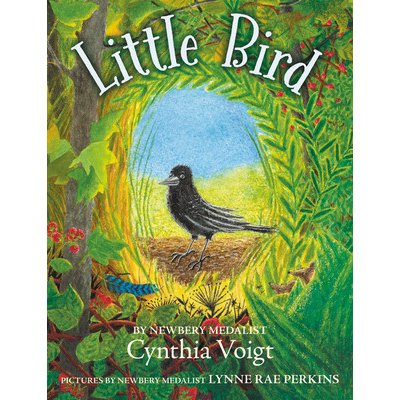 Little Bird Voigt CynthiaPaperback – Hledejceny.cz