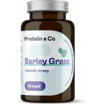 Protein & Co. Mladý ječmen 60 kapslí – Hledejceny.cz