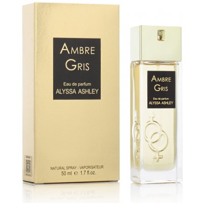 Alyssa Ambre Gris parfémovaná voda dámská 50 ml