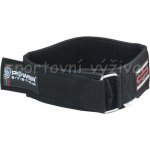 Power System Power Professional PS-3150 – Zboží Dáma