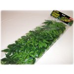 Hagen Exo Terra Abuliton rostlina velká 80 cm – Zboží Dáma