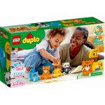 LEGO® DUPLO® 10955 Vláček se zvířátky – Hledejceny.cz