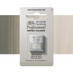 Winsor & Newton Professional Akvarelová barva půlpánvička Davy's Gray – Hledejceny.cz