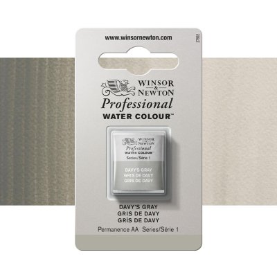 Winsor & Newton Professional Akvarelová barva půlpánvička Davy's Gray – Hledejceny.cz