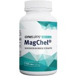 GymSupps MagChel Magnesium Bisglycinate 100 kapslí – Hledejceny.cz