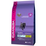 Eukanuba Puppy & Junior Large Breed 2 x 15 kg – Sleviste.cz