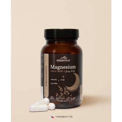 Herbs Energy Magnesium Hořčík Večerní 2 x 60 kapslí – Hledejceny.cz