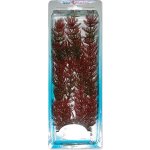 Tetra rostlina Red Foxtail Plus 30 cm – Zboží Mobilmania
