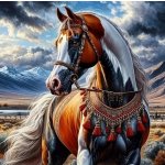 NORIMPEX Diamantové malování Kůň v indiánském postroji 30 x 40 cm – Sleviste.cz