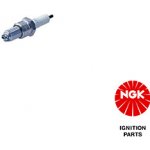 NGK Zapalovací svíčka 5932 – Hledejceny.cz